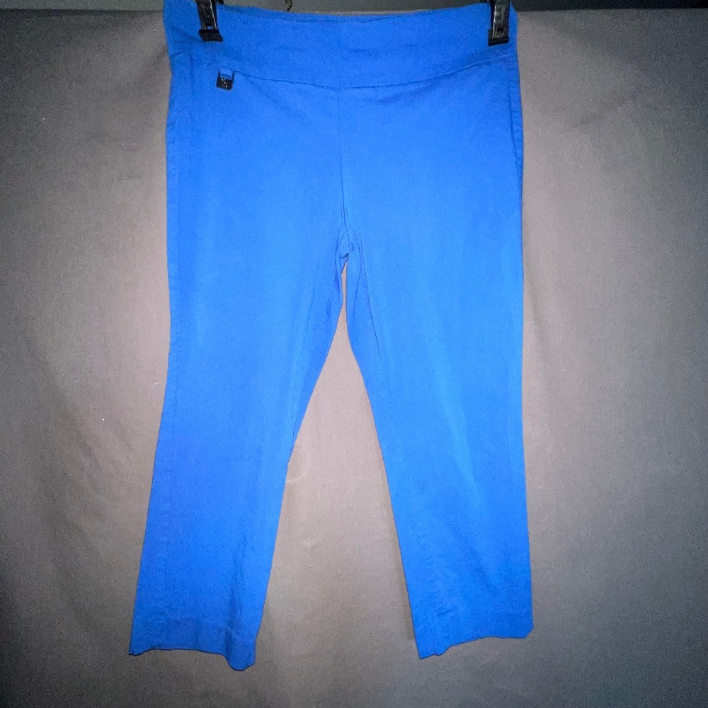 Crop Wide Leg Blue Pants